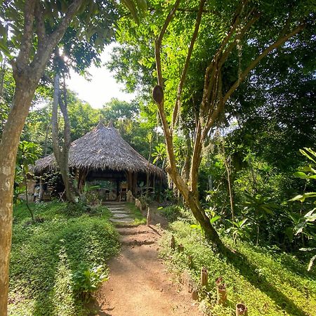 Hostal Paraiso Tayrona Kogui Los Naranjos Exterior photo